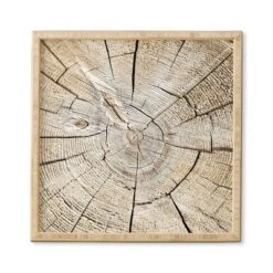 Lisa Argyropoulos Wood Cut Bamboo Framed Wall Art - Deny Designs 8 Lisa Argyropoulos Wood Cut Bamboo Framed Wall Art - Deny Designs -Deny Designs GUEST 130dd373 4286 4b79 b897 c65a04229e7c