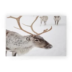 Henrike Schenk Travel Photography Reindeer With Antlers Art Print Tromso Norway Animal Snow Photo Welcome Mat - Society6 -Deny Designs GUEST 3ae5afca 8840 4ce4 8a57 16634c724e3e